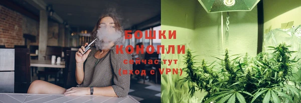 дживик Костерёво