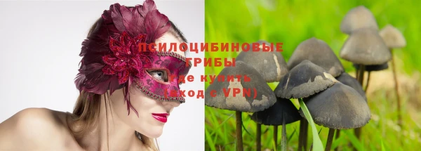 jwh Корсаков
