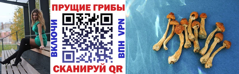 Галлюциногенные грибы прущие грибы дарнет шоп Харовск